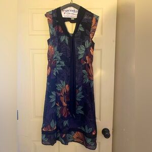 Anthropologie dress